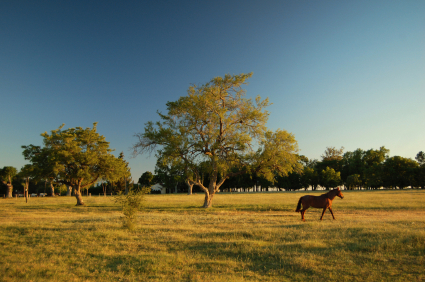 The Truth About Productive Agricultural Land